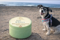 GUAU! Bálsamo patitas perro 30 ml