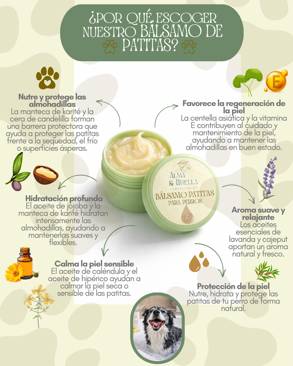 Pack Higiene Natural para Perros